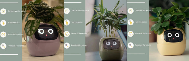 Smart Planter Endless Fun Over 49 Rich Expressions 7 Smart Sensors And AI Chips Make Raising Plants Easy And Fun TRENDFLOW