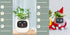 Smart Planter Endless Fun Over 49 Rich Expressions 7 Smart Sensors And AI Chips Make Raising Plants Easy And Fun TRENDFLOW