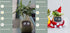 Smart Planter Endless Fun Over 49 Rich Expressions 7 Smart Sensors And AI Chips Make Raising Plants Easy And Fun TRENDFLOW