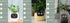 Smart Planter Endless Fun Over 49 Rich Expressions 7 Smart Sensors And AI Chips Make Raising Plants Easy And Fun TRENDFLOW