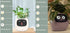 Smart Planter Endless Fun Over 49 Rich Expressions 7 Smart Sensors And AI Chips Make Raising Plants Easy And Fun TRENDFLOW
