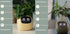 Smart Planter Endless Fun Over 49 Rich Expressions 7 Smart Sensors And AI Chips Make Raising Plants Easy And Fun TRENDFLOW