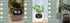 Smart Planter Endless Fun Over 49 Rich Expressions 7 Smart Sensors And AI Chips Make Raising Plants Easy And Fun TRENDFLOW