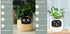 Smart Planter Endless Fun Over 49 Rich Expressions 7 Smart Sensors And AI Chips Make Raising Plants Easy And Fun TRENDFLOW