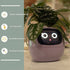 Smart Planter Endless Fun Over 49 Rich Expressions 7 Smart Sensors And AI Chips Make Raising Plants Easy And Fun TRENDFLOW