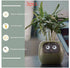 Smart Planter Endless Fun Over 49 Rich Expressions 7 Smart Sensors And AI Chips Make Raising Plants Easy And Fun TRENDFLOW