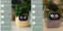 Smart Planter Endless Fun Over 49 Rich Expressions 7 Smart Sensors And AI Chips Make Raising Plants Easy And Fun TRENDFLOW