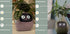 Smart Planter Endless Fun Over 49 Rich Expressions 7 Smart Sensors And AI Chips Make Raising Plants Easy And Fun TRENDFLOW