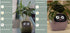 Smart Planter Endless Fun Over 49 Rich Expressions 7 Smart Sensors And AI Chips Make Raising Plants Easy And Fun TRENDFLOW