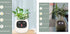 Smart Planter Endless Fun Over 49 Rich Expressions 7 Smart Sensors And AI Chips Make Raising Plants Easy And Fun TRENDFLOW
