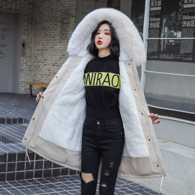 Winter coat cotton-padded jacket