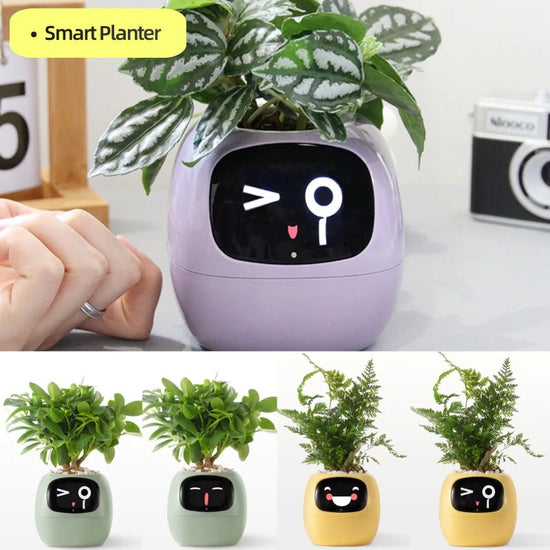 Smart Planter Endless Fun Over 49 Rich Expressions 7 Smart Sensors And AI Chips Make Raising Plants Easy And Fun TRENDFLOW