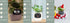 Smart Planter Endless Fun Over 49 Rich Expressions 7 Smart Sensors And AI Chips Make Raising Plants Easy And Fun TRENDFLOW