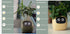 Smart Planter Endless Fun Over 49 Rich Expressions 7 Smart Sensors And AI Chips Make Raising Plants Easy And Fun TRENDFLOW