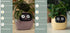 Smart Planter Endless Fun Over 49 Rich Expressions 7 Smart Sensors And AI Chips Make Raising Plants Easy And Fun TRENDFLOW