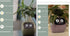 Smart Planter Endless Fun Over 49 Rich Expressions 7 Smart Sensors And AI Chips Make Raising Plants Easy And Fun TRENDFLOW