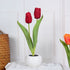 LED Tulip Flower Night Light Artificial Flowerpot Potted Plant Landscape Table Lamp Home Bedroom Living Room Decoration Gift TRENDFLOW
