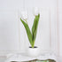 LED Tulip Flower Night Light Artificial Flowerpot Potted Plant Landscape Table Lamp Home Bedroom Living Room Decoration Gift TRENDFLOW