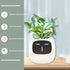 Smart Planter Endless Fun Over 49 Rich Expressions 7 Smart Sensors And AI Chips Make Raising Plants Easy And Fun TRENDFLOW