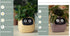 Smart Planter Endless Fun Over 49 Rich Expressions 7 Smart Sensors And AI Chips Make Raising Plants Easy And Fun TRENDFLOW