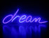 LED Neon Light, Acrylic Back Panel, Room Decoration Night Light TRENDFLOW