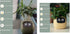 Smart Planter Endless Fun Over 49 Rich Expressions 7 Smart Sensors And AI Chips Make Raising Plants Easy And Fun TRENDFLOW