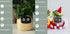 Smart Planter Endless Fun Over 49 Rich Expressions 7 Smart Sensors And AI Chips Make Raising Plants Easy And Fun TRENDFLOW