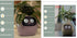 Smart Planter Endless Fun Over 49 Rich Expressions 7 Smart Sensors And AI Chips Make Raising Plants Easy And Fun TRENDFLOW
