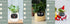 Smart Planter Endless Fun Over 49 Rich Expressions 7 Smart Sensors And AI Chips Make Raising Plants Easy And Fun TRENDFLOW