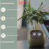 Smart Planter Endless Fun Over 49 Rich Expressions 7 Smart Sensors And AI Chips Make Raising Plants Easy And Fun TRENDFLOW