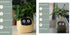 Smart Planter Endless Fun Over 49 Rich Expressions 7 Smart Sensors And AI Chips Make Raising Plants Easy And Fun TRENDFLOW