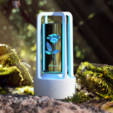 Creative 2 In 1 Audio Acrylic Crystal Lamp And Bluetooth Speaker Valentine&
