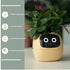 Smart Planter Endless Fun Over 49 Rich Expressions 7 Smart Sensors And AI Chips Make Raising Plants Easy And Fun TRENDFLOW
