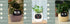 Smart Planter Endless Fun Over 49 Rich Expressions 7 Smart Sensors And AI Chips Make Raising Plants Easy And Fun TRENDFLOW