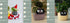 Smart Planter Endless Fun Over 49 Rich Expressions 7 Smart Sensors And AI Chips Make Raising Plants Easy And Fun TRENDFLOW